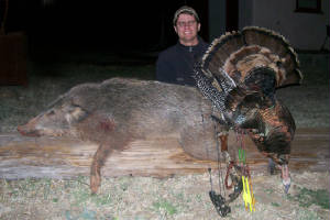 hog108.jpg